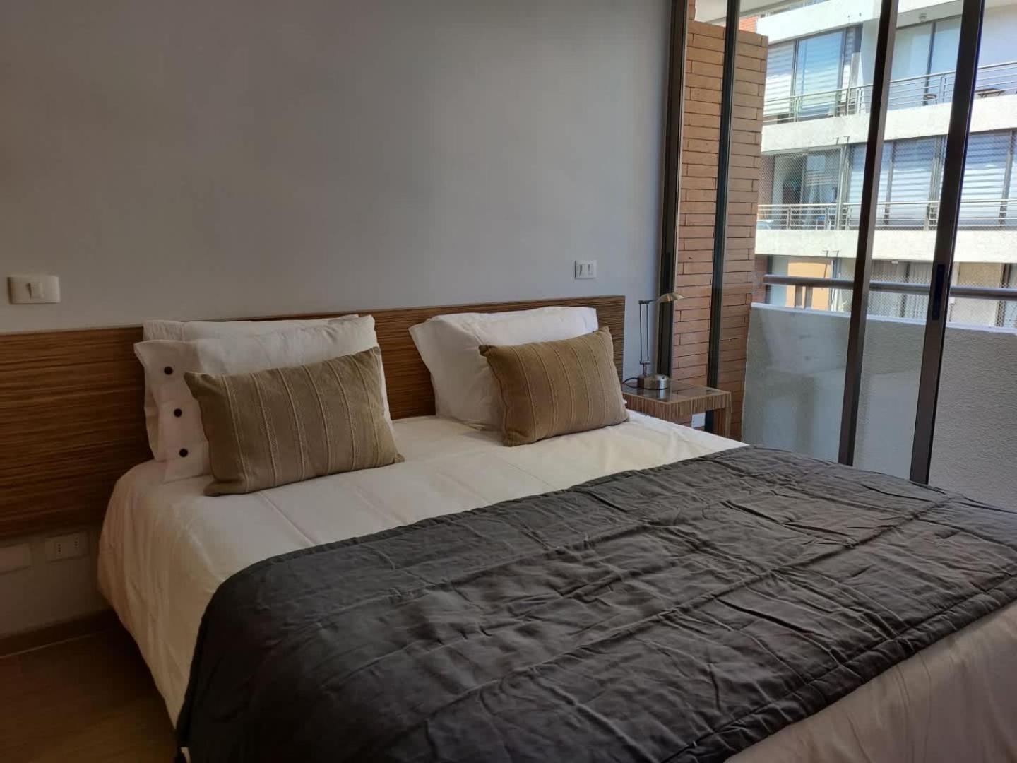 Your Oasis In Providencia Ideal For 3 People Apartamento